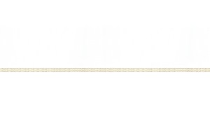 ROL SP 028 2F [H]