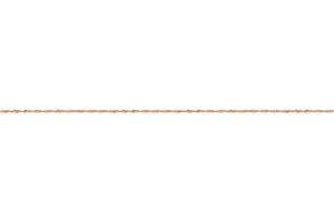 SNG 025 D119 [R]